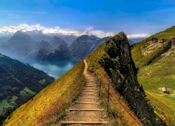 Szwajcaria, Góry, Alpy, Lake Lucerne, Jezioro Czterech Kantonów, Ścieżka, Natura