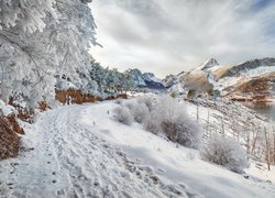 Hiszpania, Kastylia i León, Jezioro Embalse de Riaño, Zima, Droga, Oszronione, Drzewa, Góry