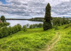 Jezioro, Drzewa, Ścieżka