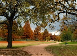 Jesień, Drzewa, Park, Ścieżka, Ławka