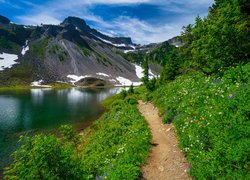 Stany Zjednoczone, Stan Waszyngton, Góry Kaskadowe, Góra, Mount Baker, Jezioro, Bagley Lake, Drzewa, Ścieżka, Rośliny