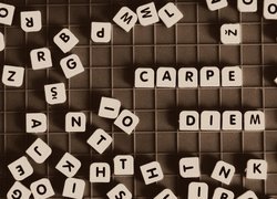 Scrabble, Napis, Sentencja, Carpe diem