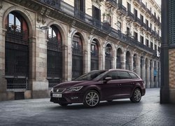 Seat Leon Cupra ST Kombi, Dom