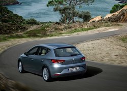 Seat Leon na drodze