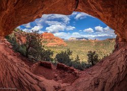 Stany Zjednoczone, Arizona, Sedona, Czerwone, Skały, Drzewa