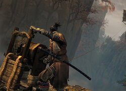 Sekiro Shadows Die Twice, Postać, Sekiro, Jednoręki wilk