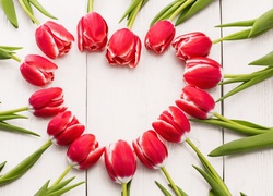 Serce z czerwonych tulipanów