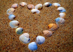 Serce z muszelek ułożone na piasku