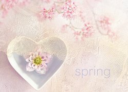 Serce, Różowe, Kwiaty, Napis, Spring