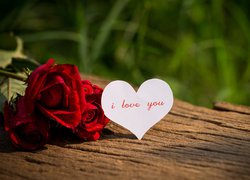 Serce z wyznaniem miłosnym przy róży