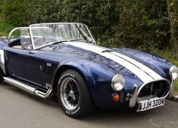 Shelby Cobra, AC Cobra, 1965, Zabytkowy