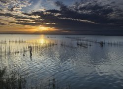 Jezioro, Sieci, Zachód słońca, Chmury, Rośliny