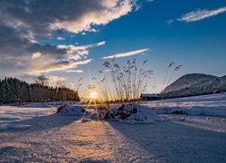 Sitowie nad jeziorem Geroldsee, zwanym także Wagenbrüchsee w Niemczech