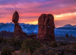 Wschód słońca, Skały, Balanced Rock, Krzewy, Park Narodowy Arches, Utah, Stany Zjednoczone