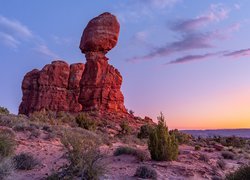 Wschód słońca, Skała, Balanced Rock, Krzewy, Park Narodowy Arches, Utah, Stany Zjednoczone