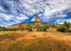 Góra, Skała Devils Tower, Wzgórze, Drzewa, Chmury, Stan Wyoming, Stany Zjednoczone