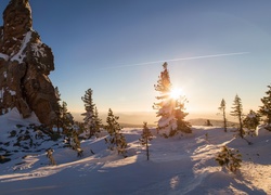 Zima, Śnieg, Wschód słońca, Skały, Drzewa