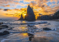 Skała na plaży La Push Beach o wschodzie słońca