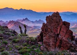 Stany Zjednoczone, Arizona, Oatman, Góry, Skały, Roślinność