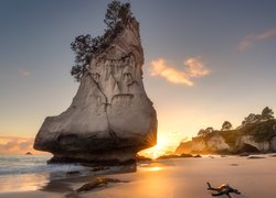 Morze, Skała, Te Hoho Rock, Plaża, Drzewa, Wschód słońca, Półwysep Coromandel, Nowa Zelandia