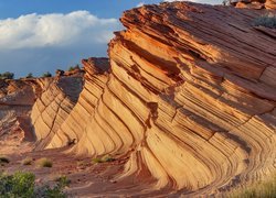 Skała The Wave, Kanion, Waterholes Canyon, Arizona, Stany Zjednoczone