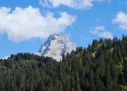 Skalista góra nad lasem