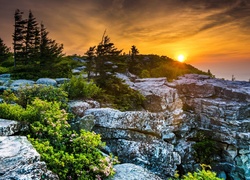 Skalisty płaskowyż Dolly Sods Wilderness w Zachodniej Wirginii o zachodzie słońca
