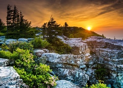 Stany Zjednoczone, Wirginia Zachodnia, Płaskowyż Dolly Sods Wilderness, Skały, Zachód słońca