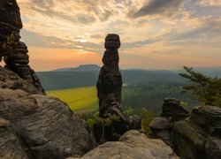 Skały, Formacja, Drzewa, Góry Połabskie, Park Narodowy Saskiej Szwajcarii, Niemcy