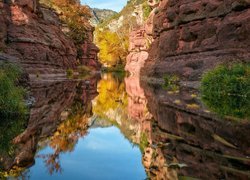 Stany Zjednoczone, Stan Arizona, Sedona, Wąwóz Oak Creek Canyon, Skały, Rzeka, Rośliny, Odbicie