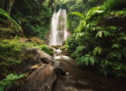 Wodospad, Kamienie, Skała, Las, Roślinność, Wyspa Bali, Indonezja