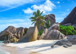 Skały bazaltowe i palmy na plaży na Seszelach