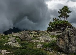 Skały i drzewa na tle ciemnych chmur