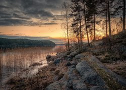 Skały i drzewa nad jeziorem Ładoga o zachodzie słońca