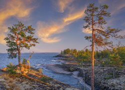 Drzewa, Skały, Jezioro Ładoga, Karelia, Rosja