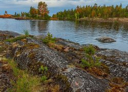 Jesień, Rosja, Republika Karelii, Jezioro Ładoga, Drzewa, Skały, Kamienie