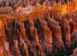 Skały i drzewa w Parku Narodowym Bryce Canyon w stanie Utah