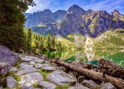 Góry, Tatry, Skały, Drzewa, Jezioro, Morskie Oko, Polska