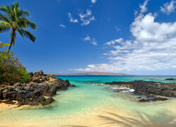 Stany Zjednoczone, Hawaje, Maui, Morze, Plaża, Skały, Palma