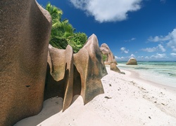 Skały i palmy na wyspie La Digue