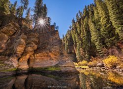 Stany Zjednoczone, Arizona, Sedona, Rzeka, Pumphouse Wash, Skały, Drzewa, Promienie słońca