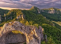 Góry, Skały, Drzewa, Lasy, Ruiny, Zamek, Castle Sulov, Powiat Bytca, Słowacja