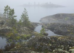 Mgła, Skały, Drzewa, Jezioro Siegoziero, Karelia, Rosja