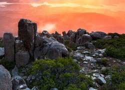 Skały, Krzewy, Szczyt, Mount Wellington, Stan Tasmania, Australia