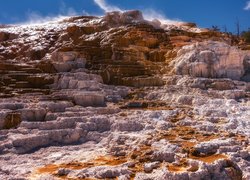 Skały, Mammoth Hot Springs, Drzewa, Park Narodowy Yellowstone, Wyoming, Stany Zjednoczone