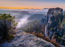 Niemcy, Park Narodowy Saskiej Szwajcarii, Góry Połabskie, Skały, Drzewa, Mgła