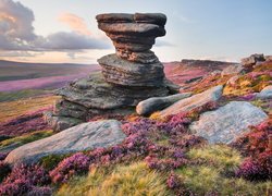 Skały na wrzosowisku w Parku Narodowym Peak District w Anglii