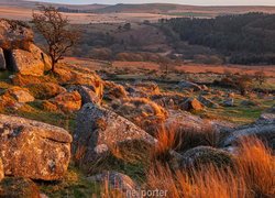 Skały na wzgórzach w Parku Narodowym Dartmoor