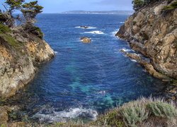 Morze, Skały, Zatoka, Drzewa, Rezerwat Point Lobos, Carmel by the Sea, Kalifornia, Stany Zjednoczone