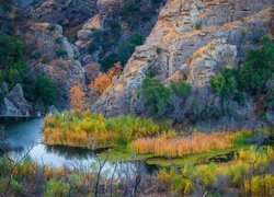 Stany Zjednoczone, Kalifornia, Park stanowy Malibu Creek, Rzeka Malibu Creek, Trawy, Góry, Skały, Roślinność